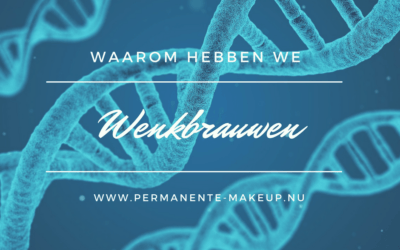 Wenkbrauwen, waarom hebben we ze eigenlijk?